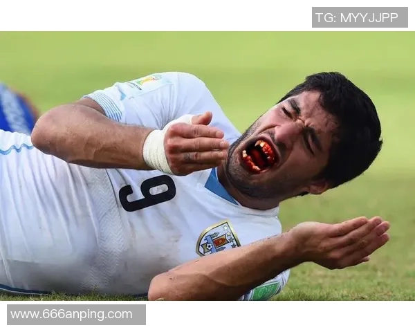 足球曲奇的美味传奇如何在绿茵场上赢得球迷的心与胃