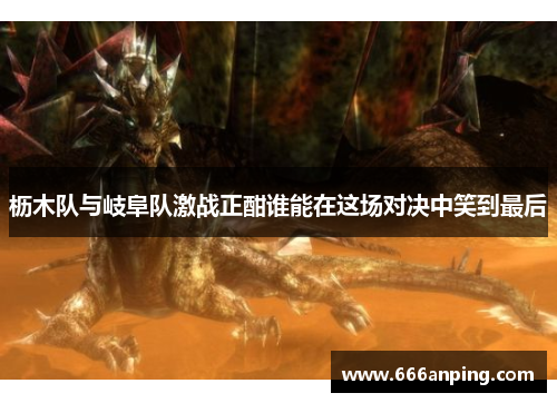 枥木队与岐阜队激战正酣谁能在这场对决中笑到最后